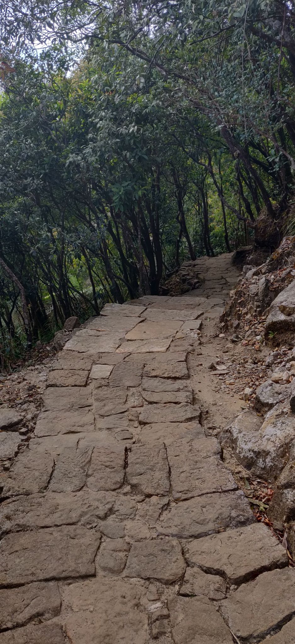 Photo of A TRIP TO REMEMBER - MEGHALAYA by Mrunmayi S R