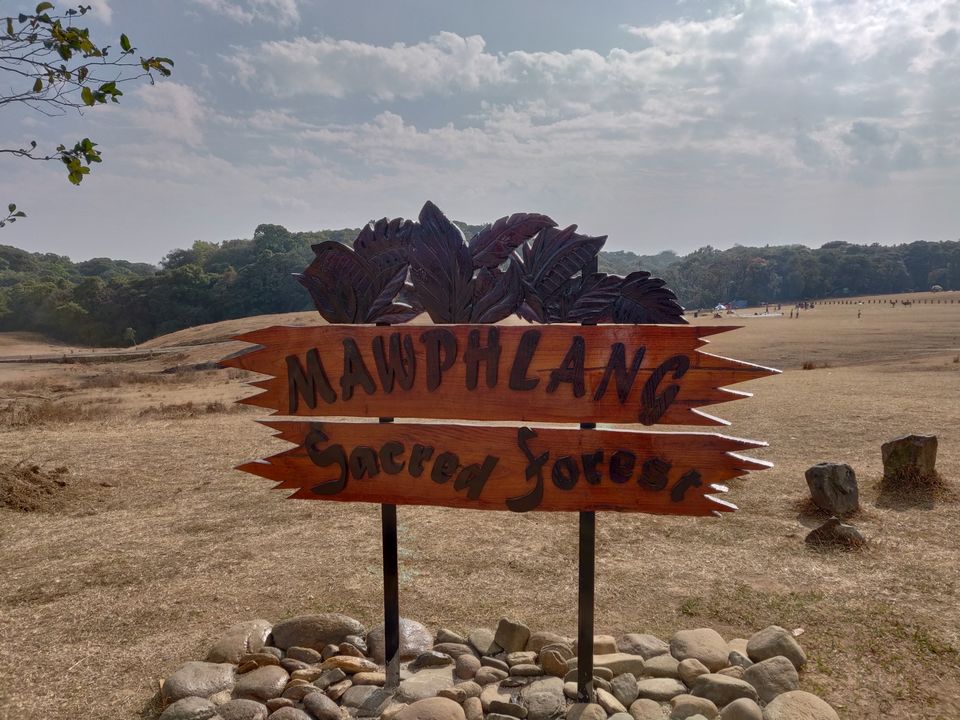 Photo of Mawphlang Sacred Grove, Nongrum, Meghalaya, India by Mrunmayi S R