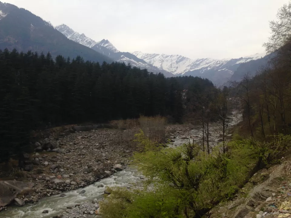 Photo of Manu Temple Road, Old Manali, Manali, Himachal Pradesh, India by Meghna
