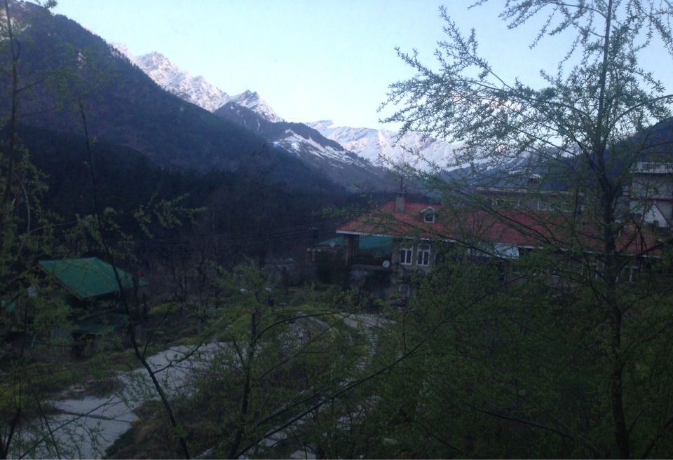 Photo of Treebo Woodstock Inn, Manali, Himachal Pradesh, India by Meghna