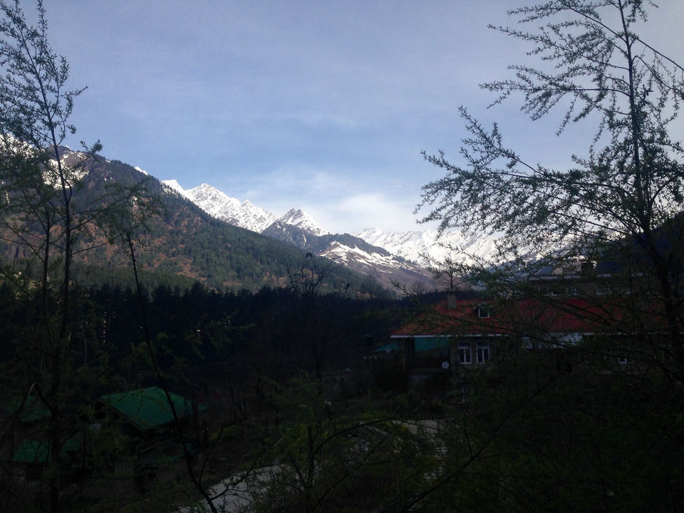 Photo of Treebo Woodstock Inn, Manali, Himachal Pradesh, India by Meghna