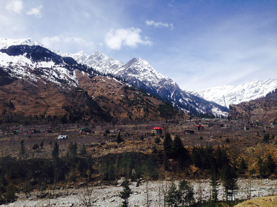 Photo of Treebo Woodstock Inn, Manali, Himachal Pradesh, India by Meghna