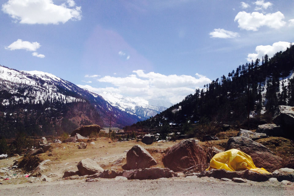 Photo of Treebo Woodstock Inn, Manali, Himachal Pradesh, India by Meghna