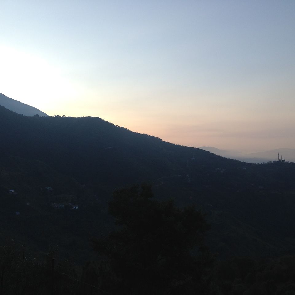 Photo of McLeodGanj – You will either love it or just love it 3/19 by Meghna