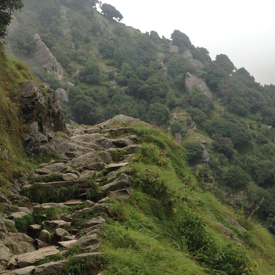 Photo of McLeodGanj – You will either love it or just love it 5/19 by Meghna