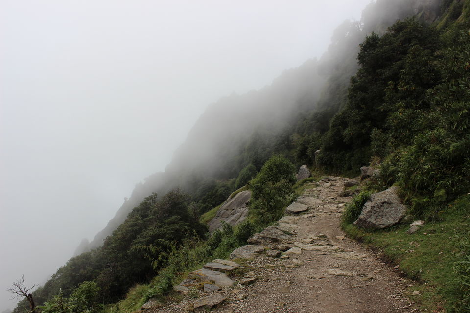Photo of McLeodGanj – You will either love it or just love it 18/19 by Meghna