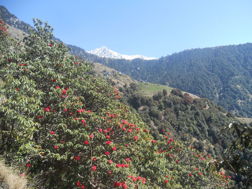 Photo of Pathankot, Punjab, India by kajol verma