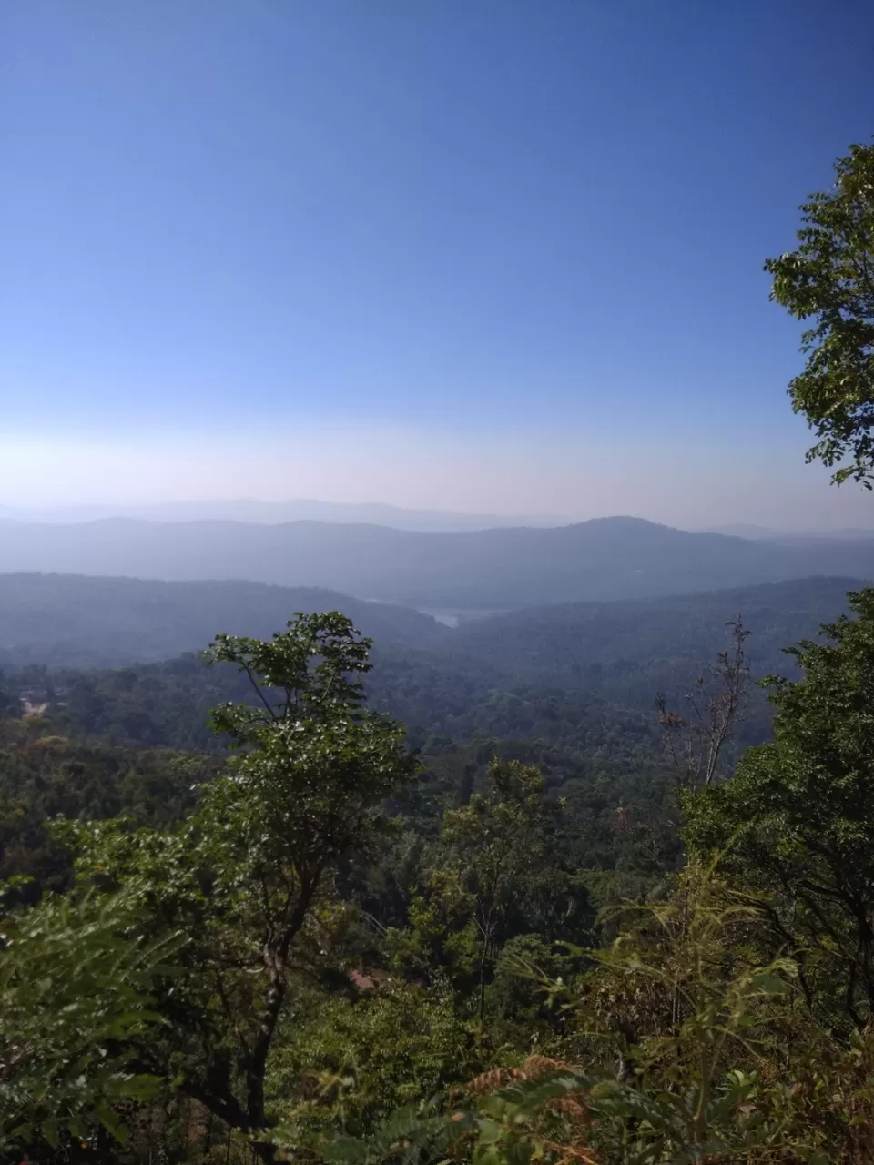 Photo of Chickmagaluru, Karnataka, India by Venugopal Yakkala