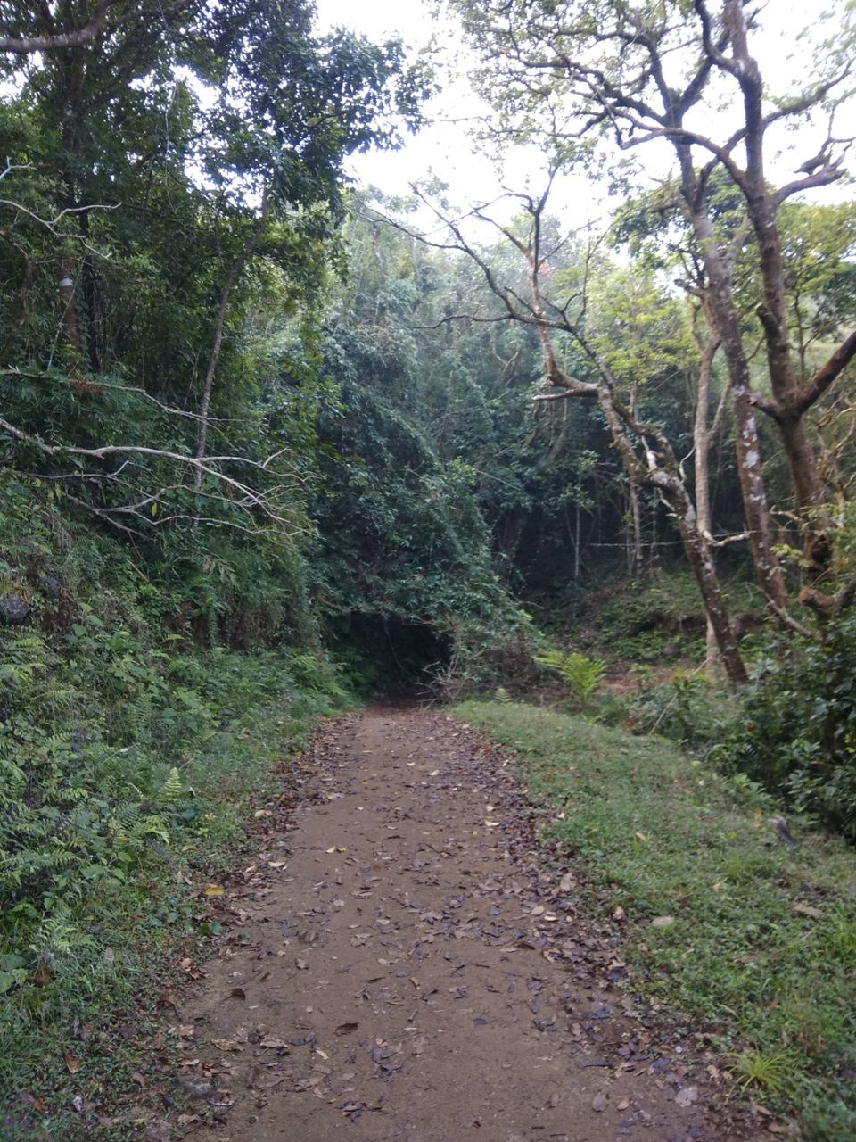 Photo of Trip to Coorg and Chickmanglur by Venugopal Yakkala