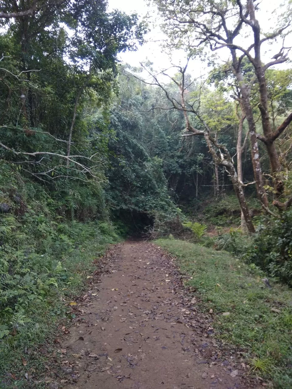 Photo of Trip to Coorg and Chickmanglur by Venugopal Yakkala