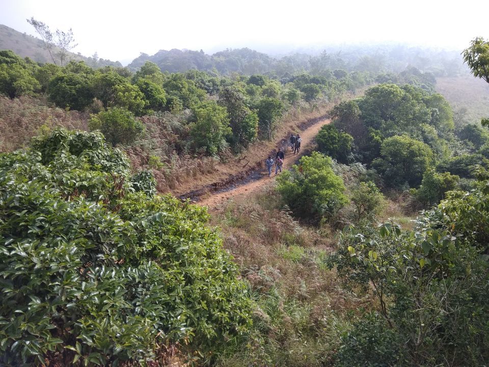 Photo of Trip to Coorg and Chickmanglur by Venugopal Yakkala