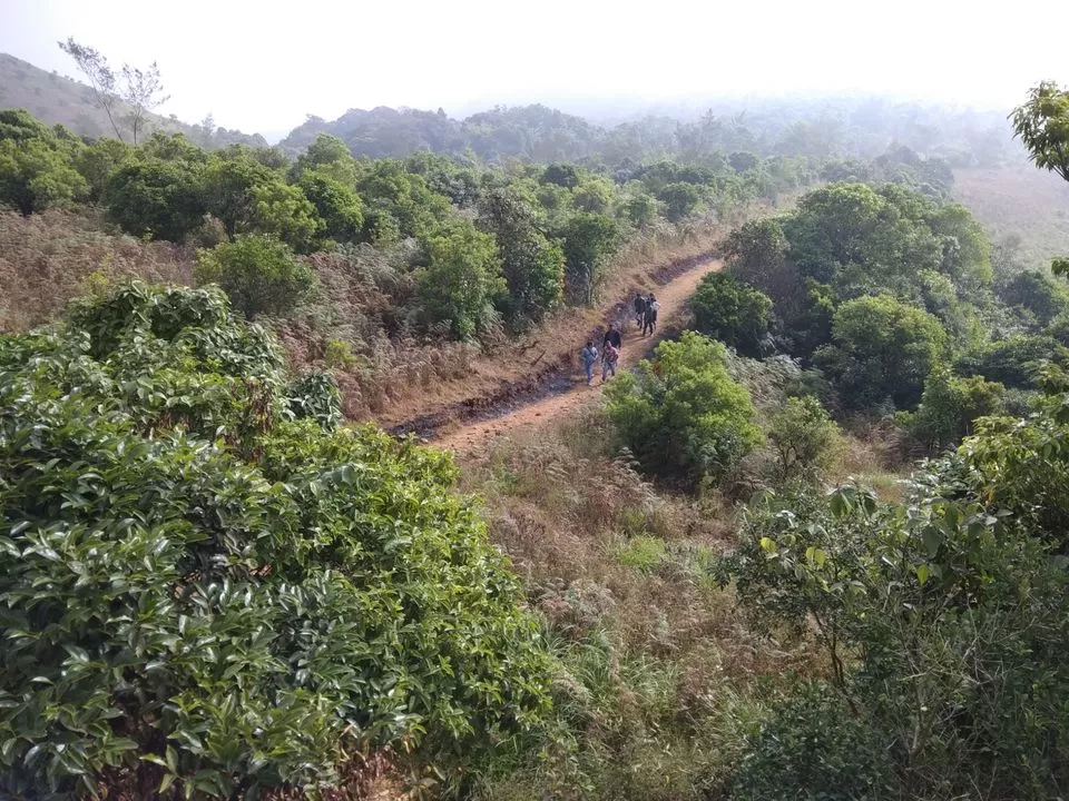 Photo of Trip to Coorg and Chickmanglur by Venugopal Yakkala
