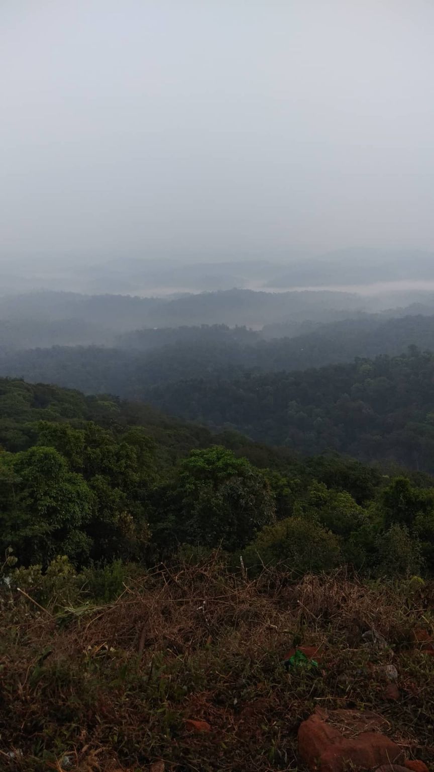 Photo of Trip to Coorg and Chickmanglur by Venugopal Yakkala
