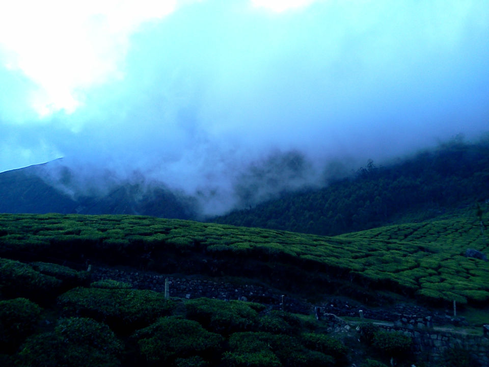 Photo of Munnar - Lush Green Hills - God's Abode - P6 2/7 by Prasath C S