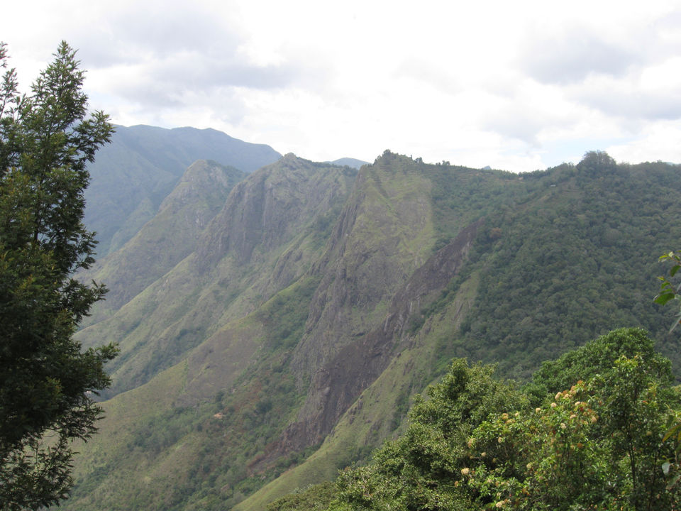 Photo of Munnar - Lush Green Hills - God's Abode - P6 6/7 by Prasath C S