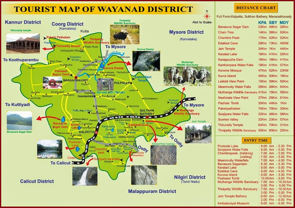 Photo of Wayanad - Adventure and Nature Lovers - Its for you - P3 by Prasath C S