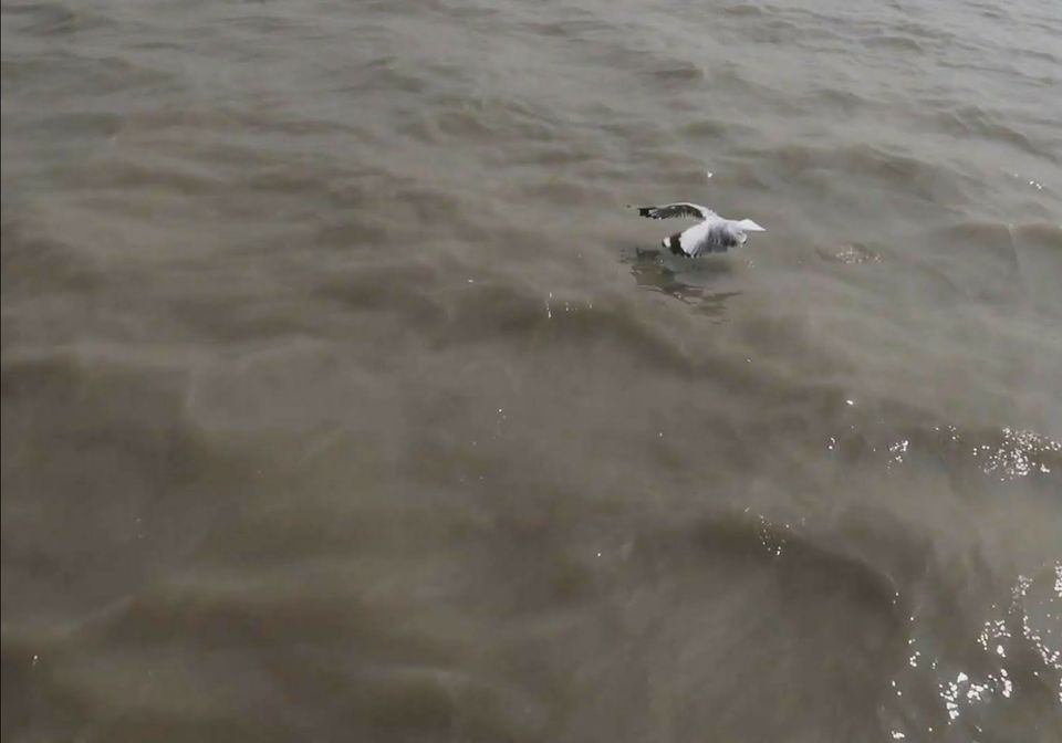 Photo of Sagar Island ~ Where A River meets the Ocean!! by PRANATI KAMANI
