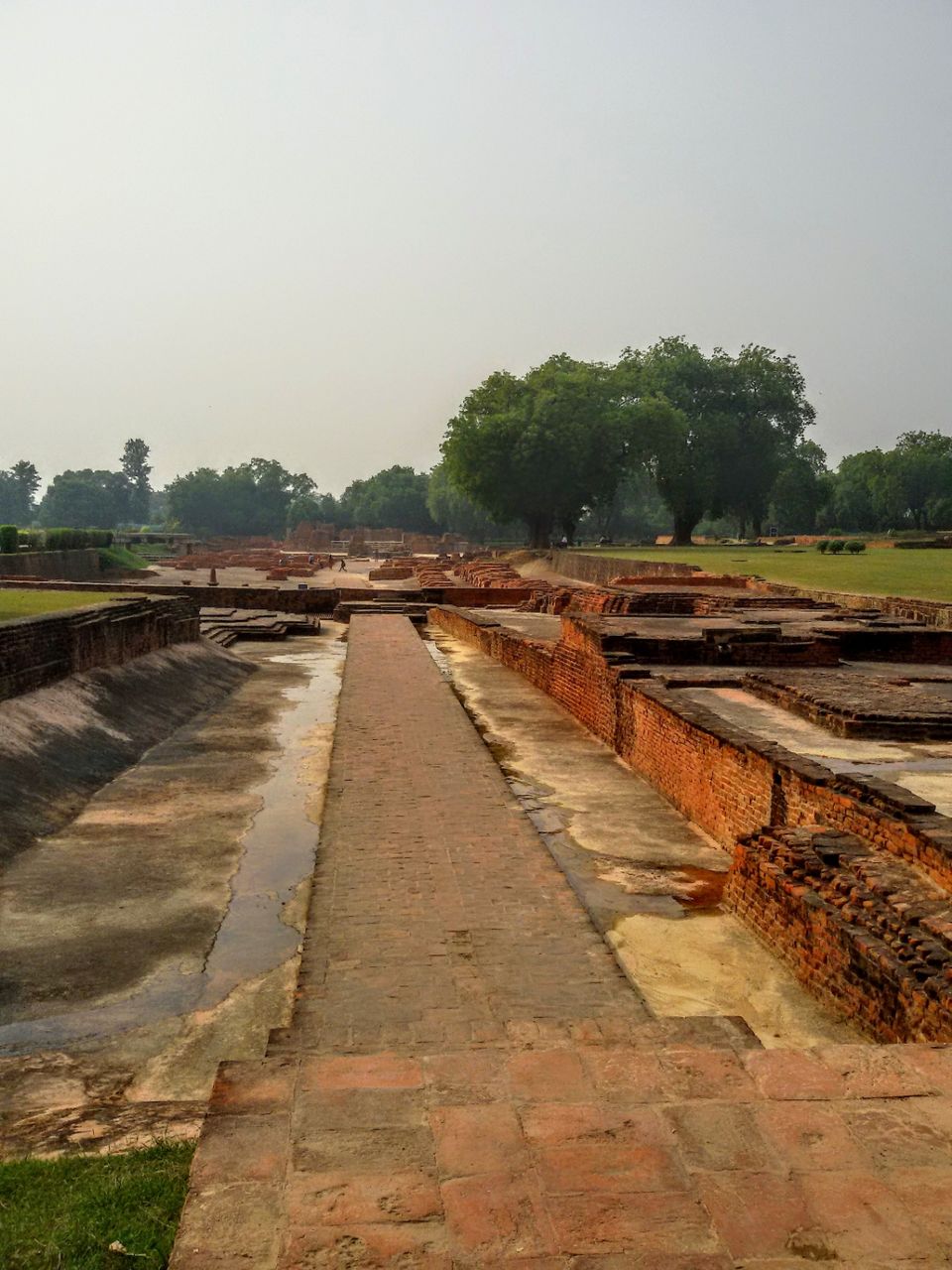 Photo of Sarnath ~ In The Land of Buddha by PRANATI KAMANI
