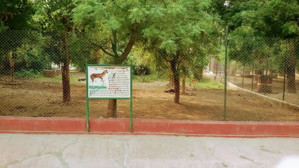 Photo of Sarnath ~ In The Land of Buddha by PRANATI KAMANI