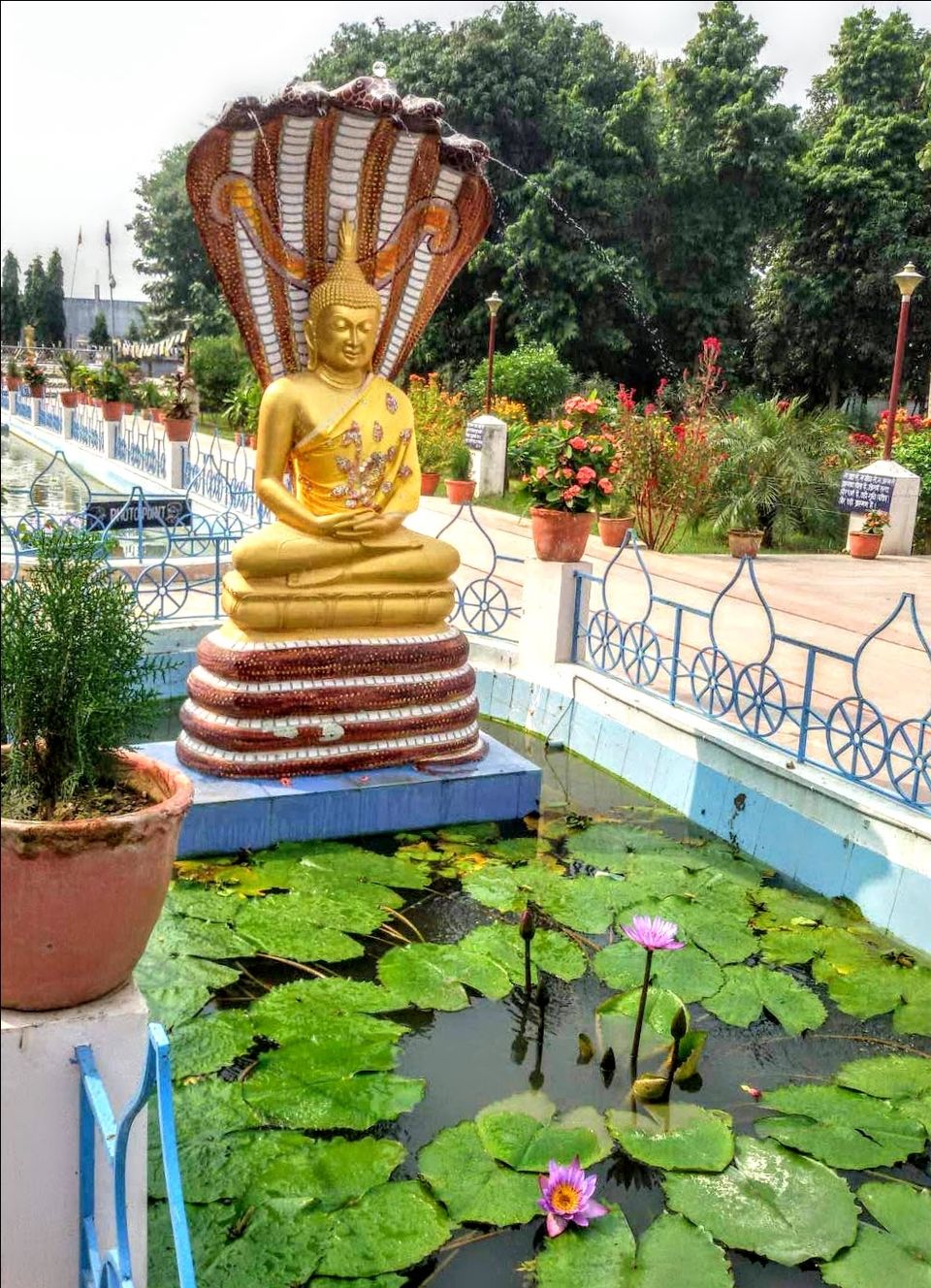 Photo of Sarnath ~ In The Land of Buddha by PRANATI KAMANI