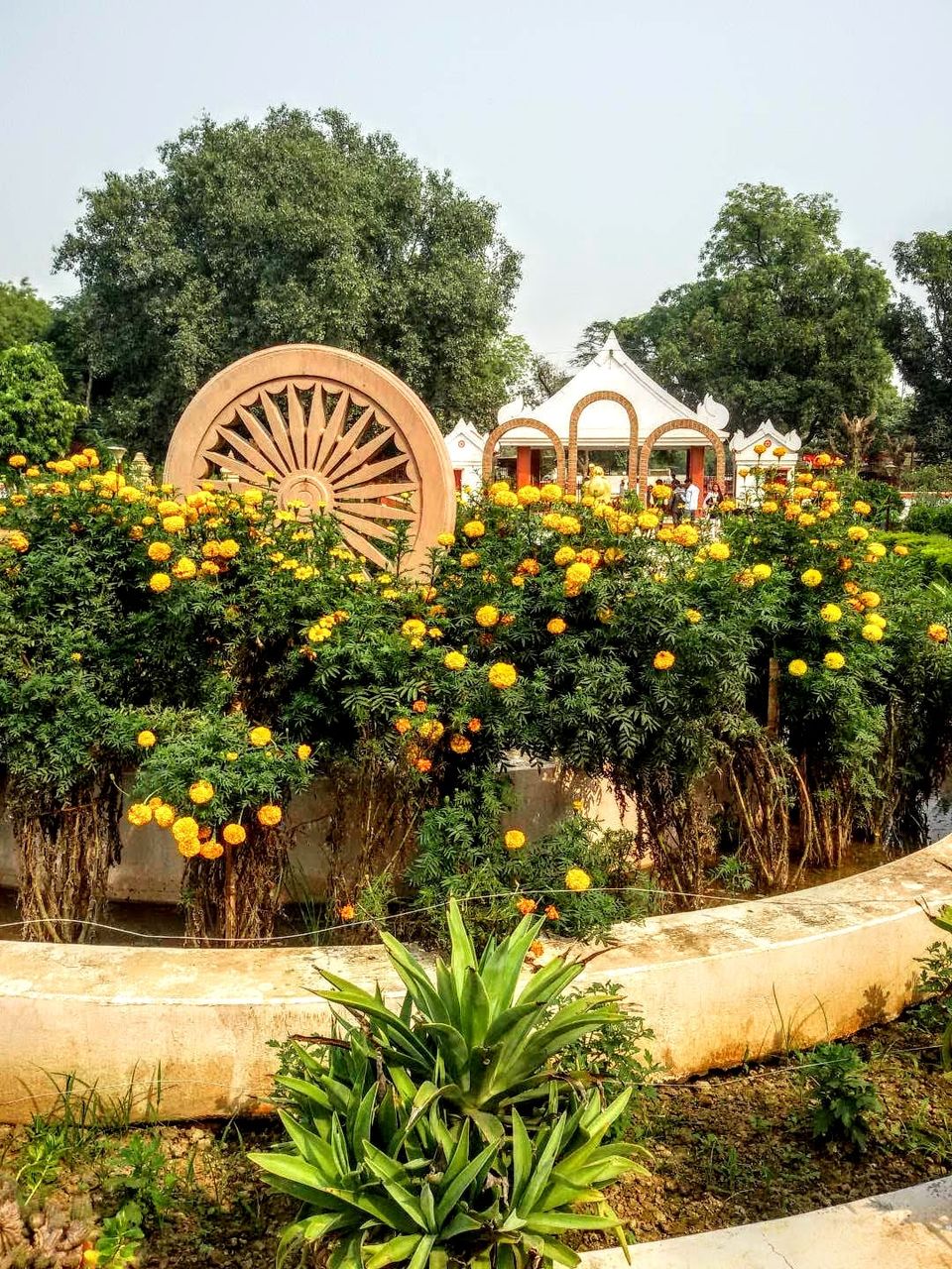 Photo of Sarnath ~ In The Land of Buddha by PRANATI KAMANI