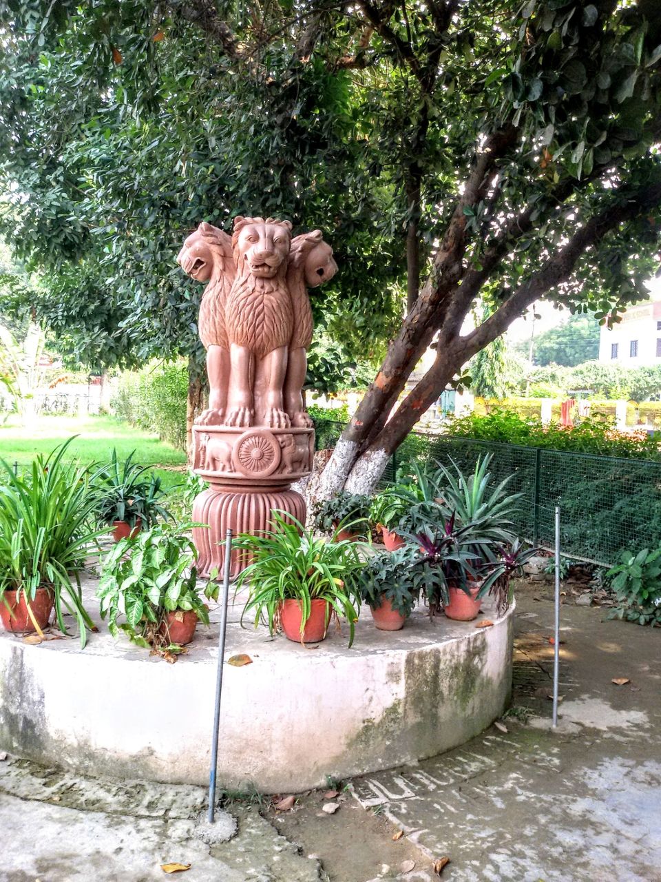 Photo of Sarnath ~ In The Land of Buddha by PRANATI KAMANI