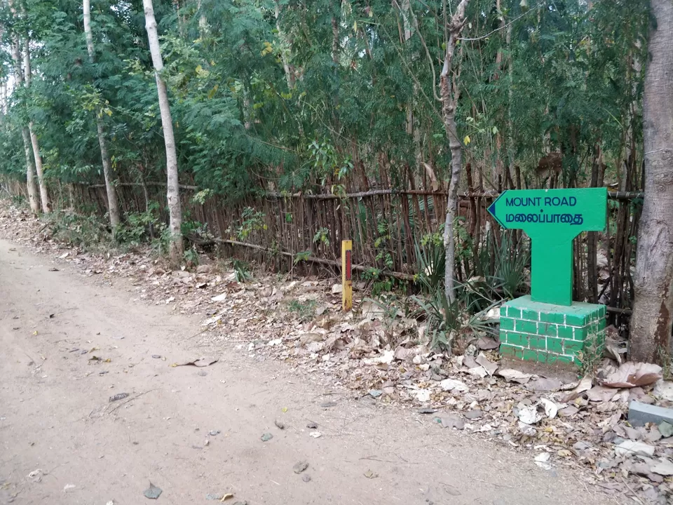 Photo of Koppampatti, Tamil Nadu, India by Bala Jagannathan