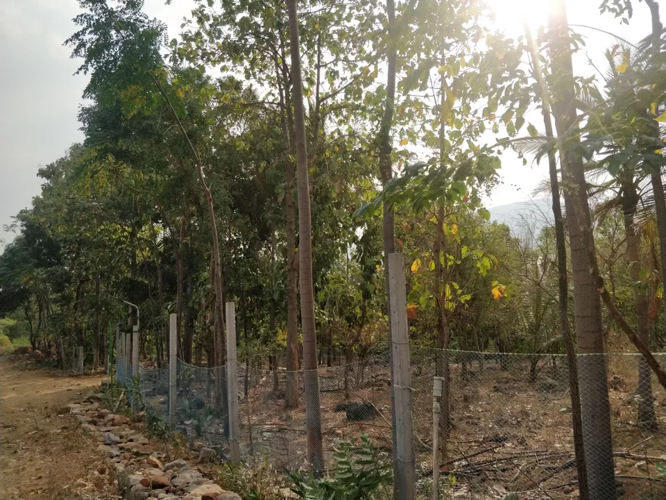 Photo of Koppampatti, Tamil Nadu, India by Bala Jagannathan
