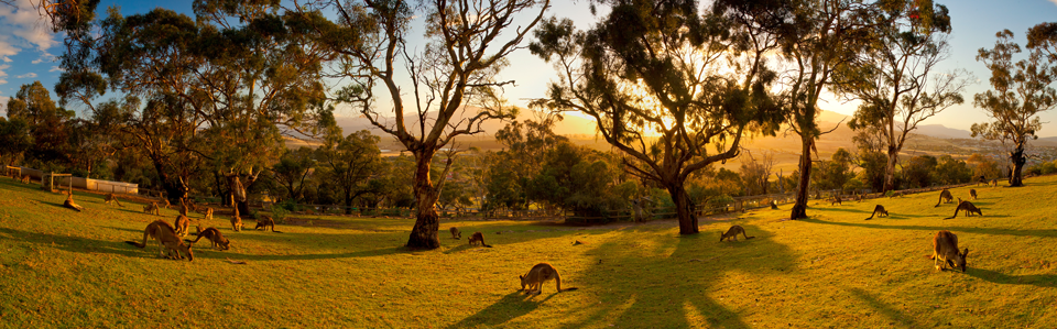 Photo of Tasmania - Experience the experience by Vikash Kumar