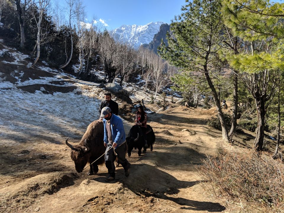 Photo of Exploring The Manali by Nikhil Kali Raman