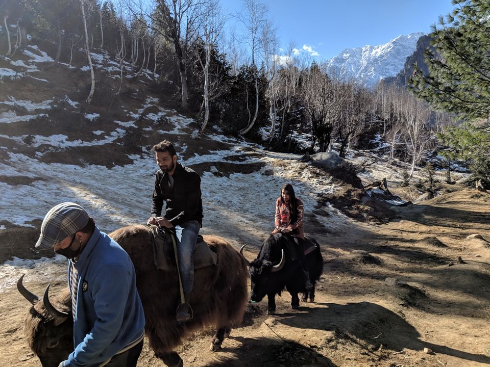 Photo of Exploring The Manali by Nikhil Kali Raman