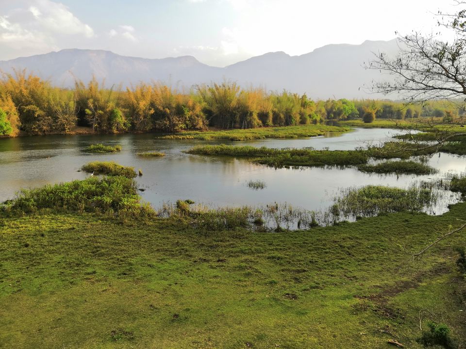 Photo of Maravakandy Dam, Masinagudi, India by Aravind Kumar J