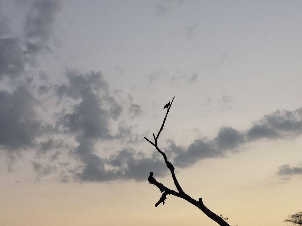 Photo of Maravakandy Dam, Masinagudi, India by Aravind Kumar J