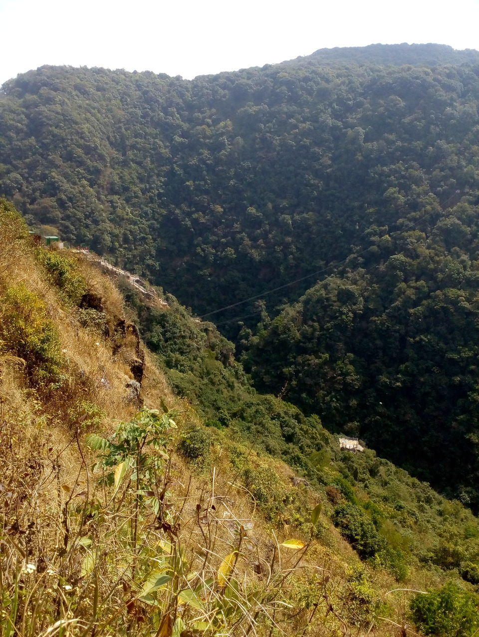 Photo of Meghalaya - The Abode of Clouds by Vibha Vaidya