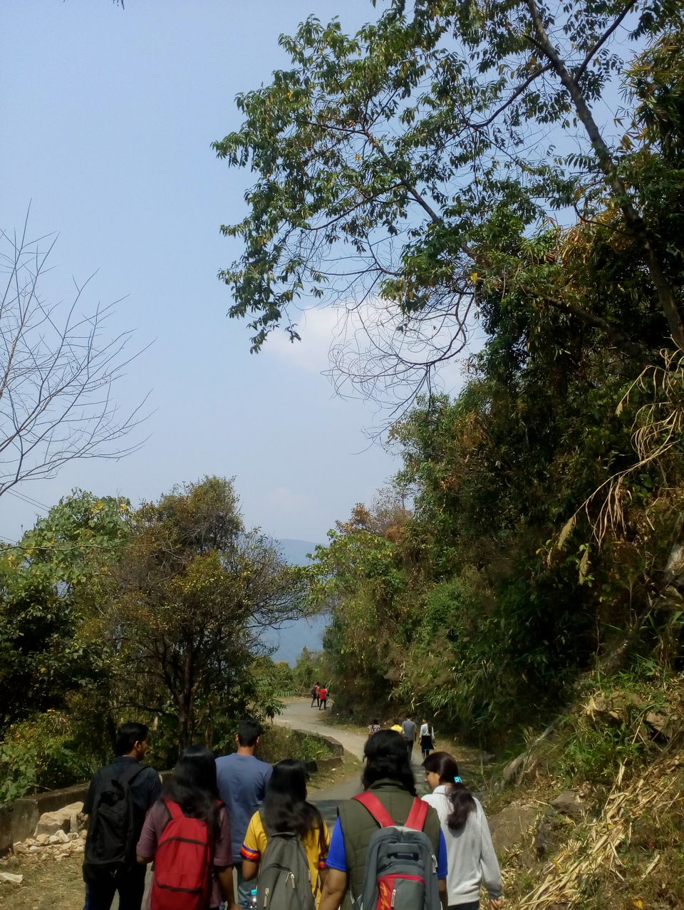 Photo of Nongriat, Meghalaya, India by Vibha Vaidya