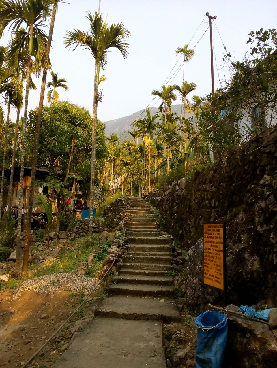 Photo of Nongriat, Meghalaya, India by Vibha Vaidya