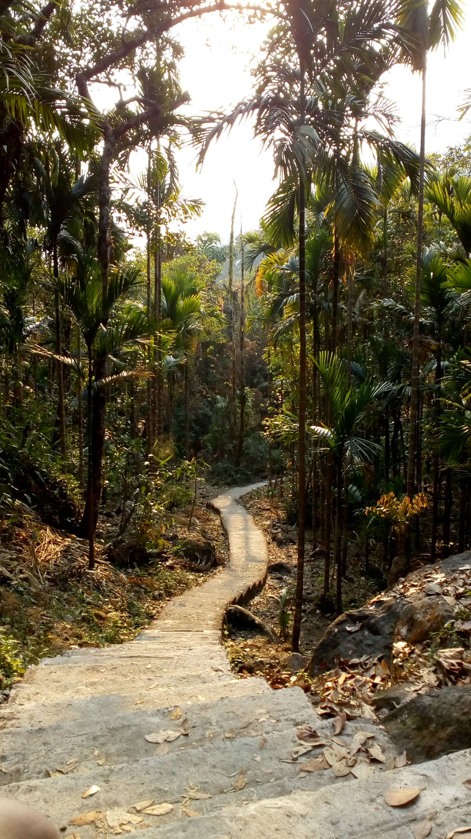 Photo of Nongriat, Meghalaya, India by Vibha Vaidya