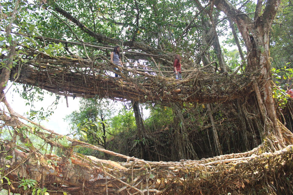 Photo of Nongriat, Meghalaya, India by Vibha Vaidya
