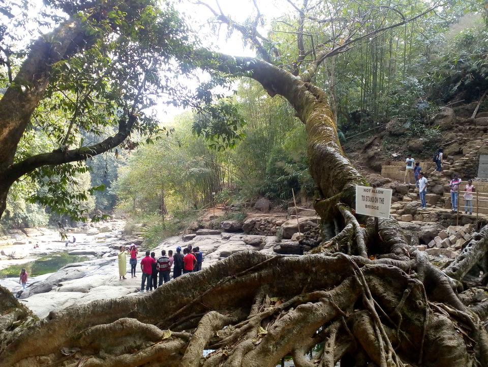 Photo of Meghalaya - The Abode of Clouds by Vibha Vaidya
