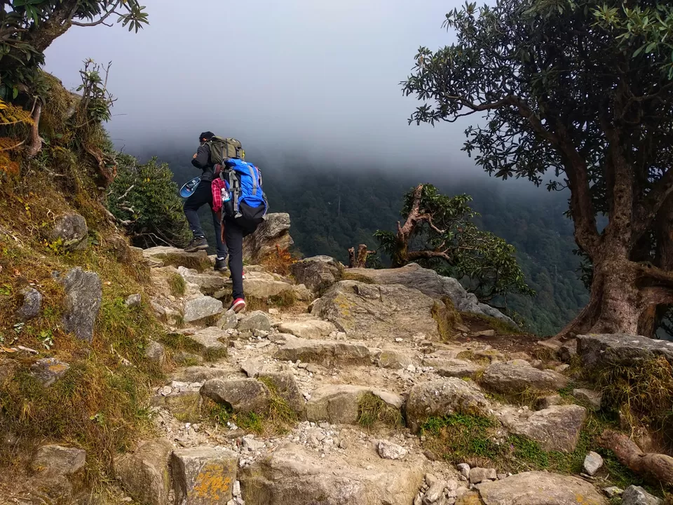 Photo of The perfect itinerary for Mcleod Ganj by Shivangi Rajora