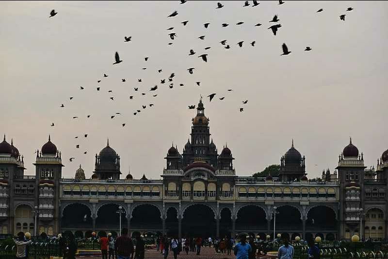 Photo of City of art-Mysuru by Shruthi A S