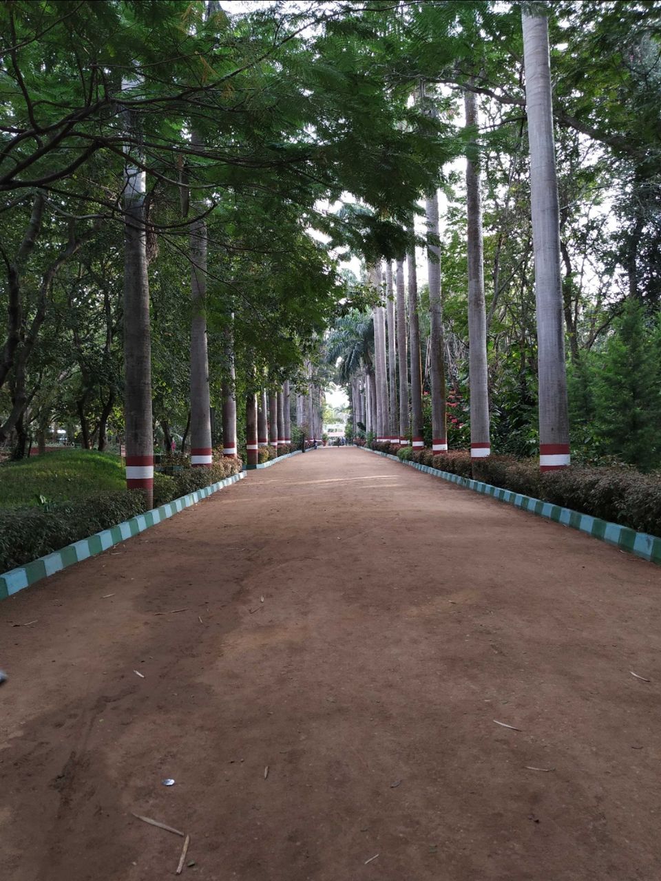 Photo of City of art-Mysuru by Shruthi A S