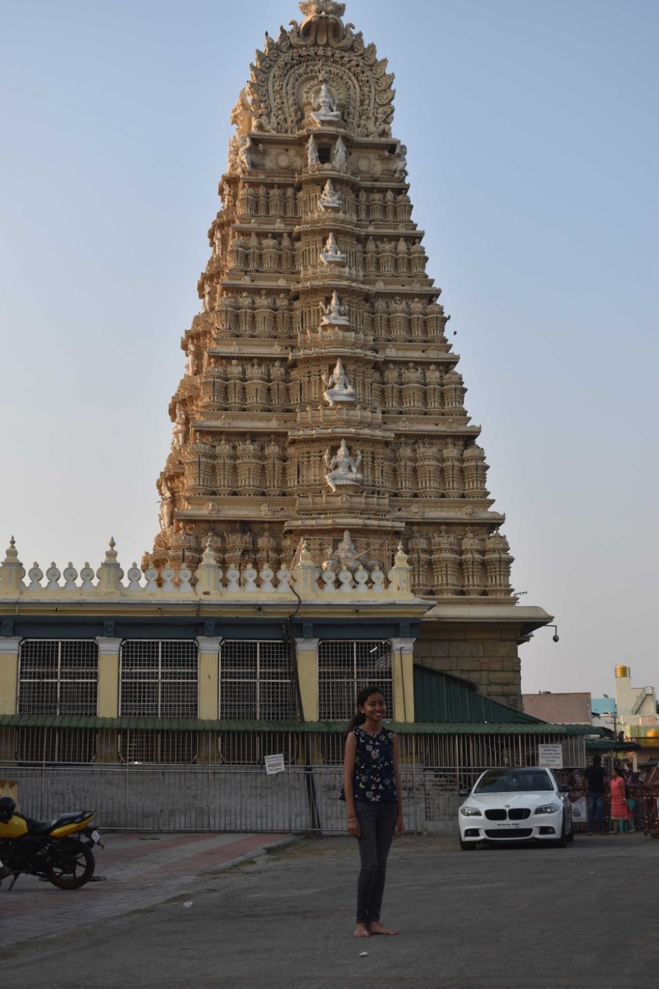 Photo of City of art-Mysuru by Shruthi A S