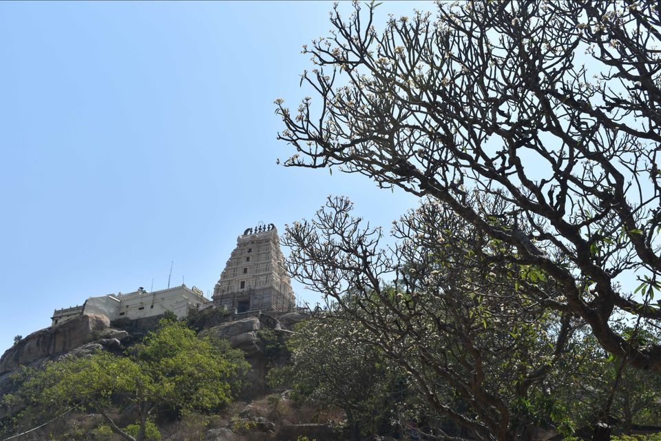 Photo of City of art-Mysuru by Shruthi A S