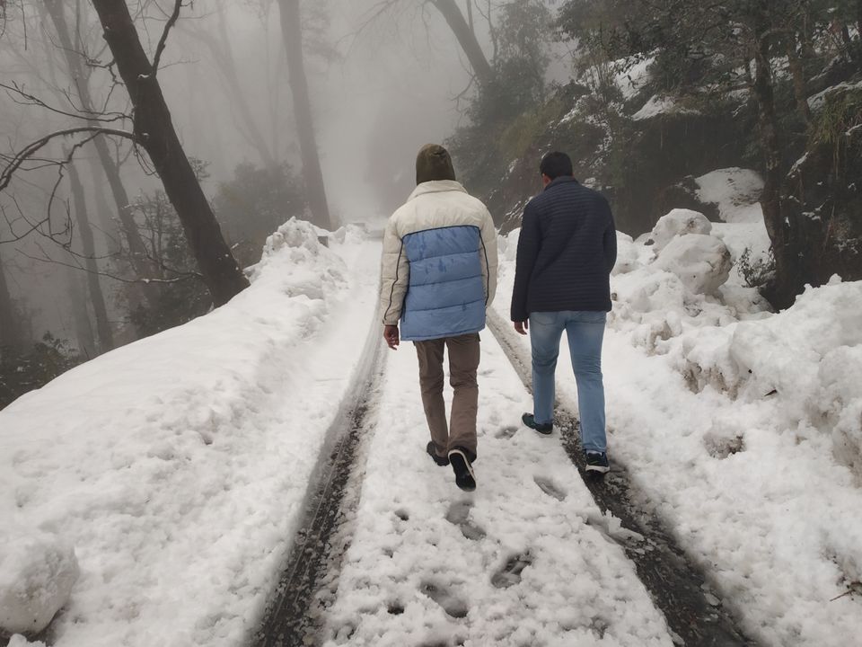 Photo of Chopta, Uttarakhand, India by Pahadi_hu _bawa