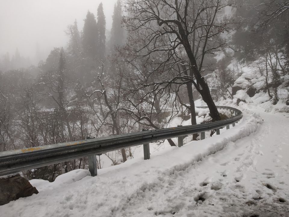 Photo of Chopta, Uttarakhand, India by Pahadi_hu _bawa