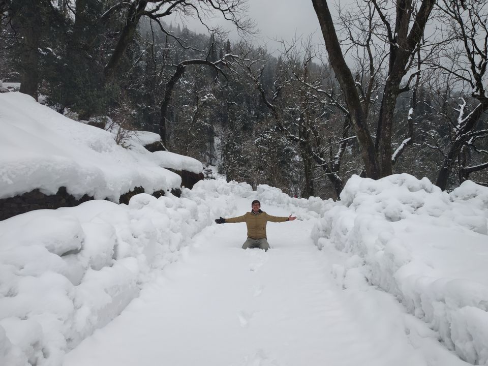 Photo of Chopta, Uttarakhand, India by Pahadi_hu _bawa