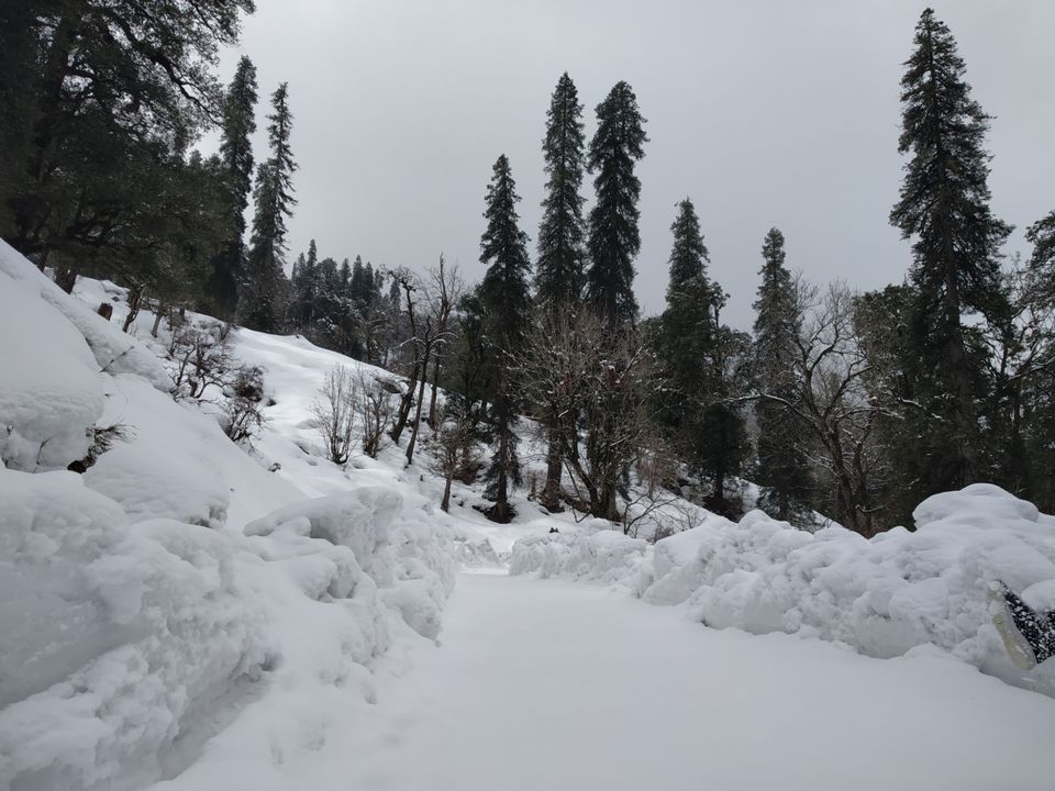 Photo of Chopta, Uttarakhand, India by Pahadi_hu _bawa