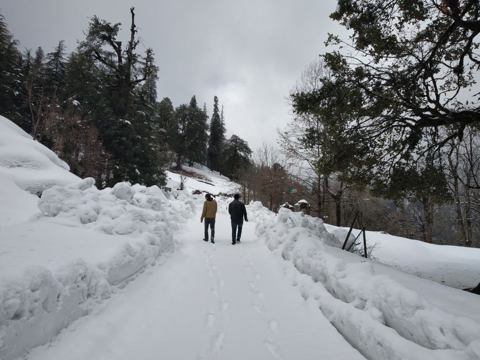 Photo of Chopta, Uttarakhand, India by Pahadi_hu _bawa