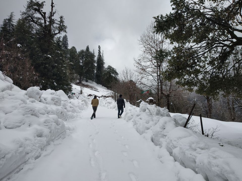 Photo of Chopta, Uttarakhand, India by Pahadi_hu _bawa